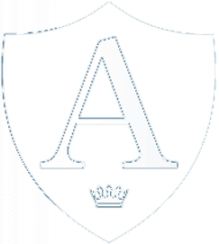 Amity English School Dubai logo